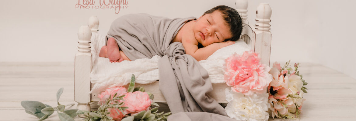 Lesa Wright Photography