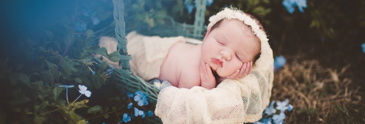 Lindsey Cassidy Photography