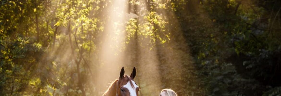 Shelley Paulson Photography