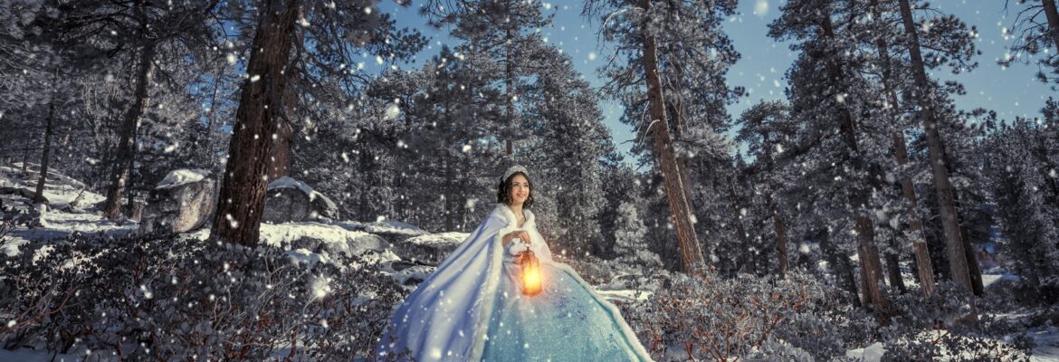 AVMPhotoBoutique