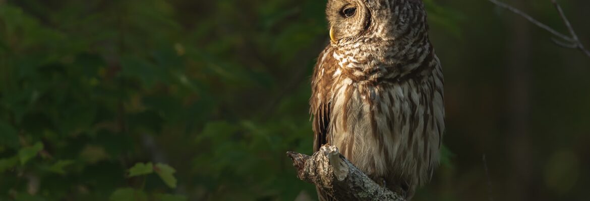 Georgia Walters – Nature Photographer