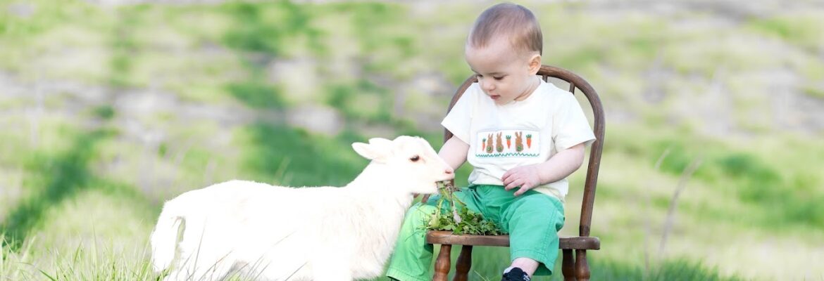 JCBolton Photography