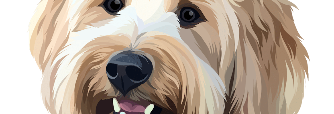 Pooch Pix