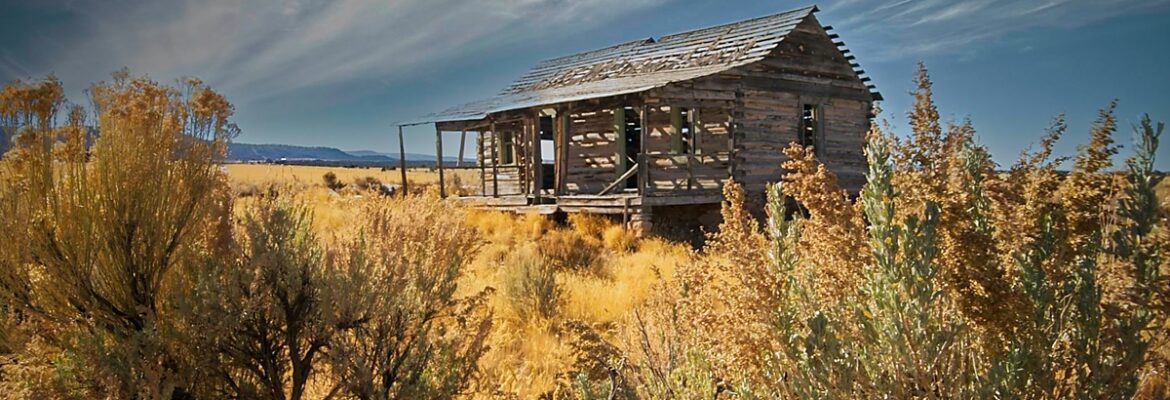 New Adventures Photo Studio