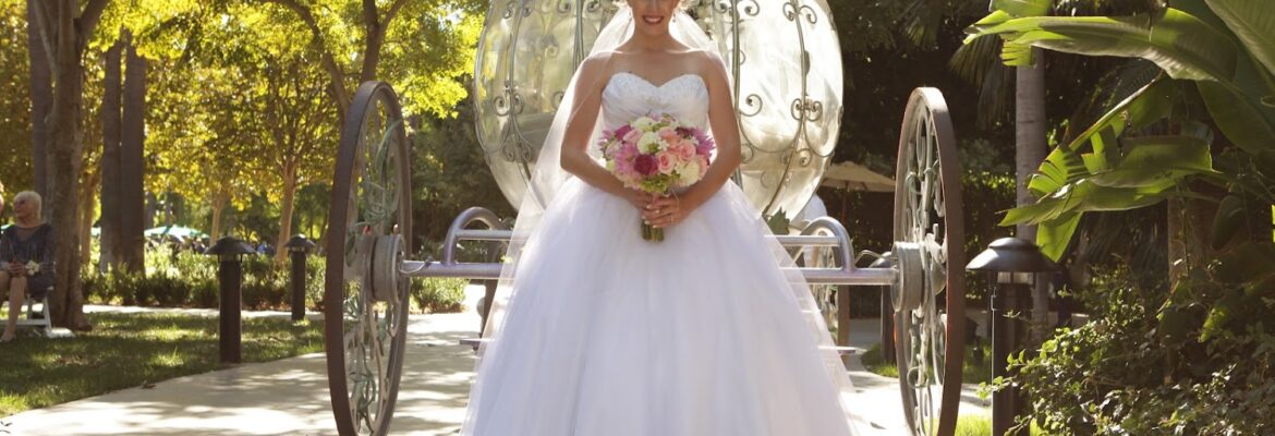 Christie Evans Photography