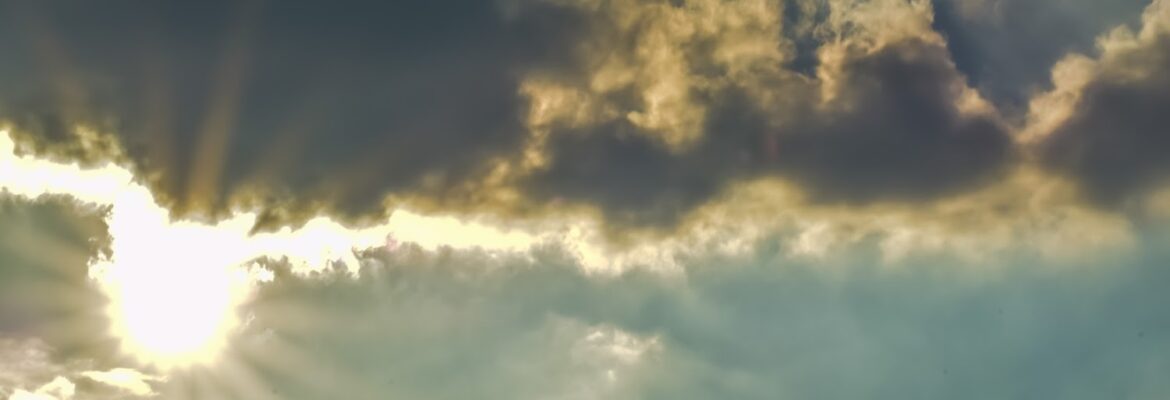 Zol Photography