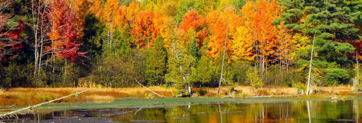 Photography by Joanie Moore