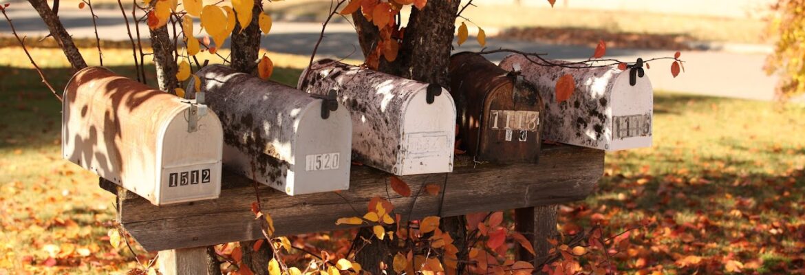 Sentimental Impression Photography
