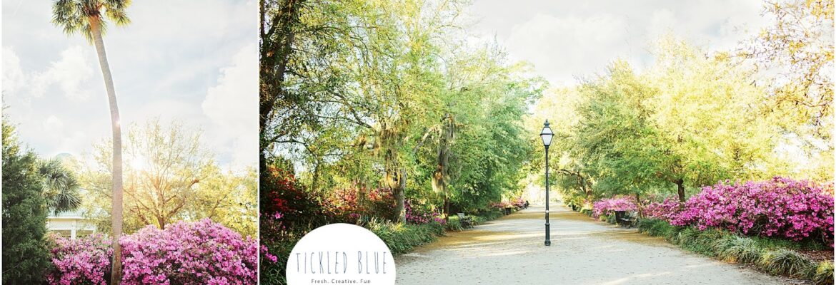 Tickled Blue Photography