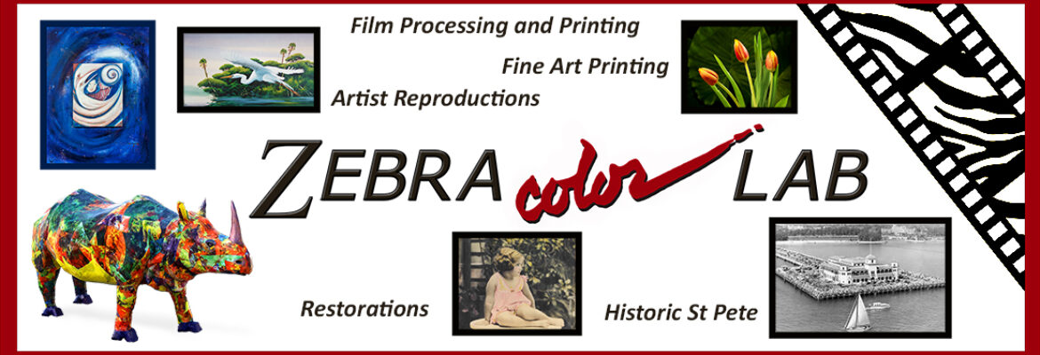 Zebra-Color Inc