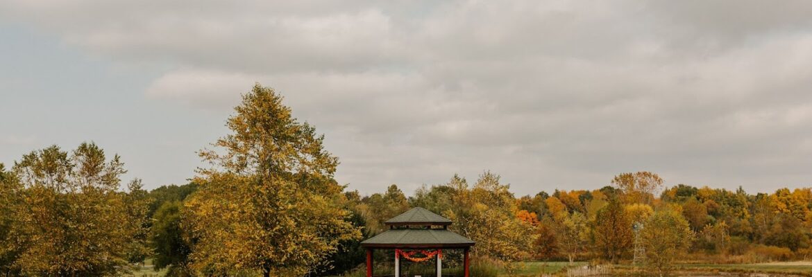 Alicia + Harrison Photography