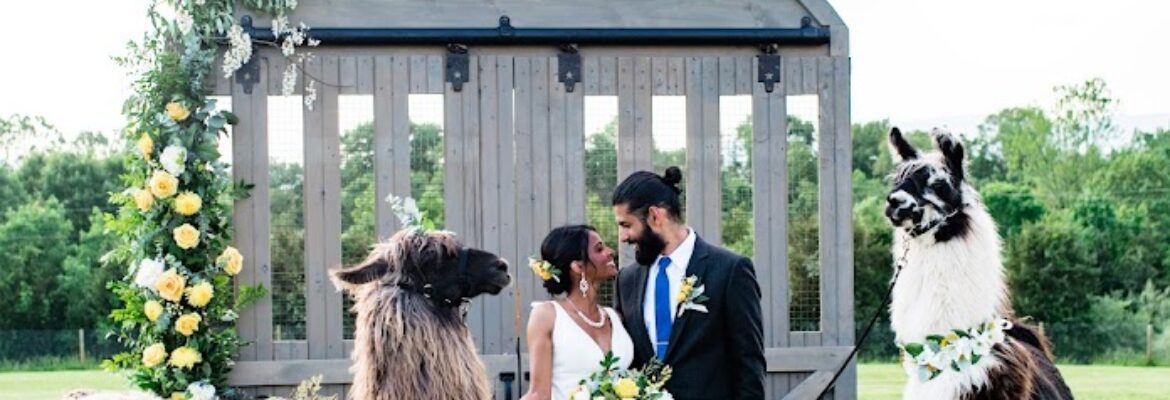 Katie MacDonald Photography