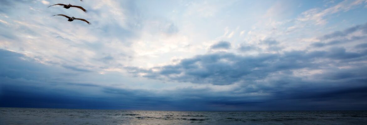 Don Monteaux Photography