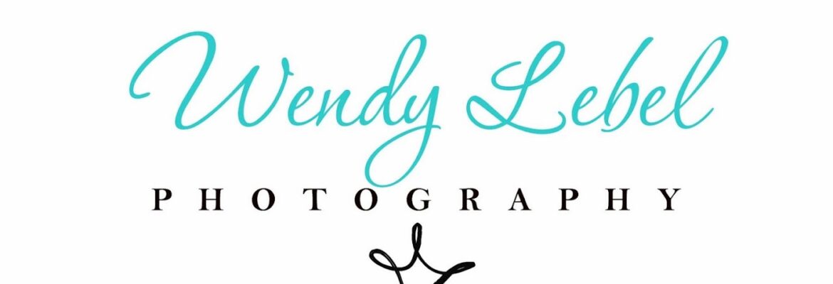 Wendy Lebel Photography, Jackson Michigan