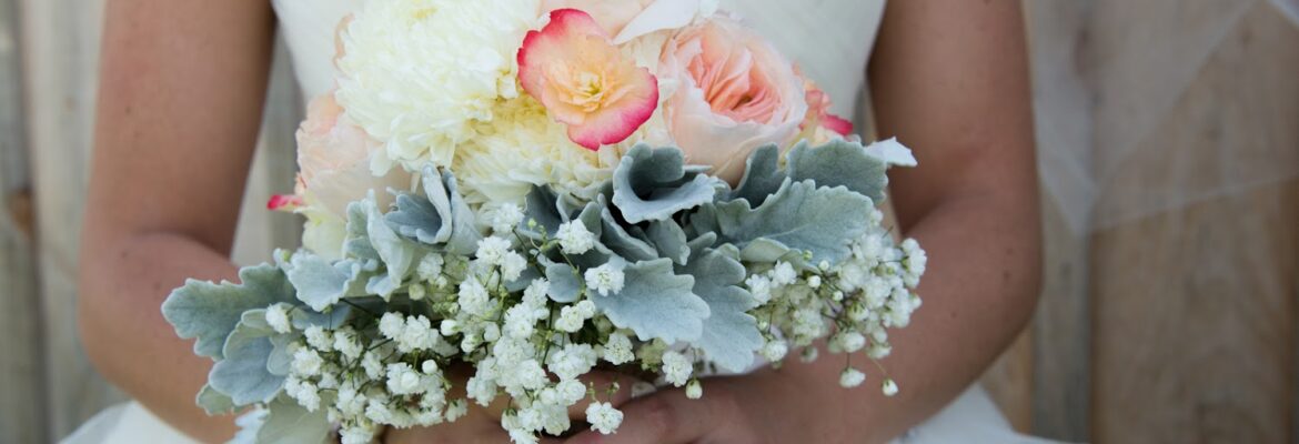 Jessie Lara Photography