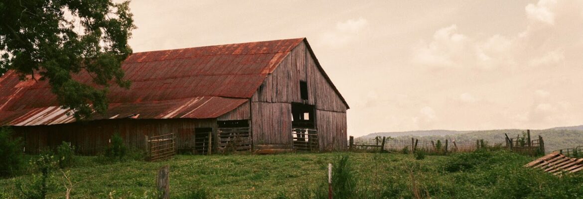Weslea Miniat Photography