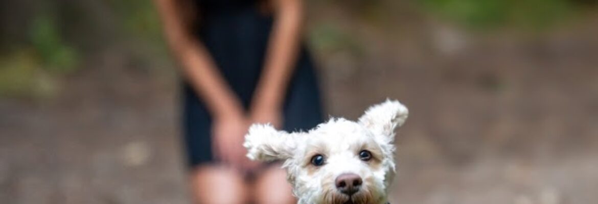 Claire Kapral Photography