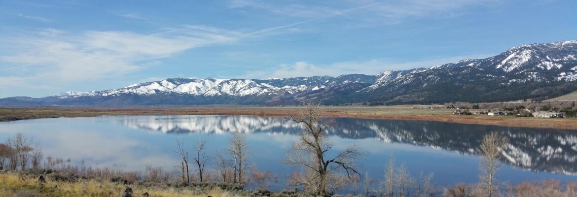 Higher Perspective Drone Services