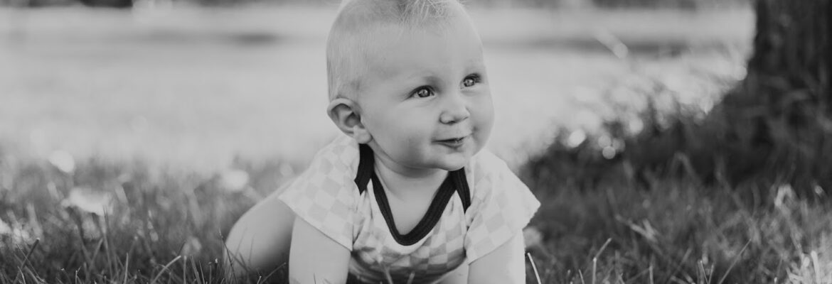 Stars and Stills Photography