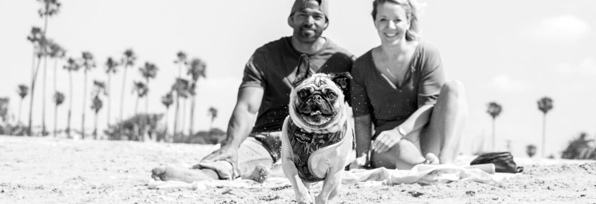 Cassie Burke Photographer | Dog Photographer