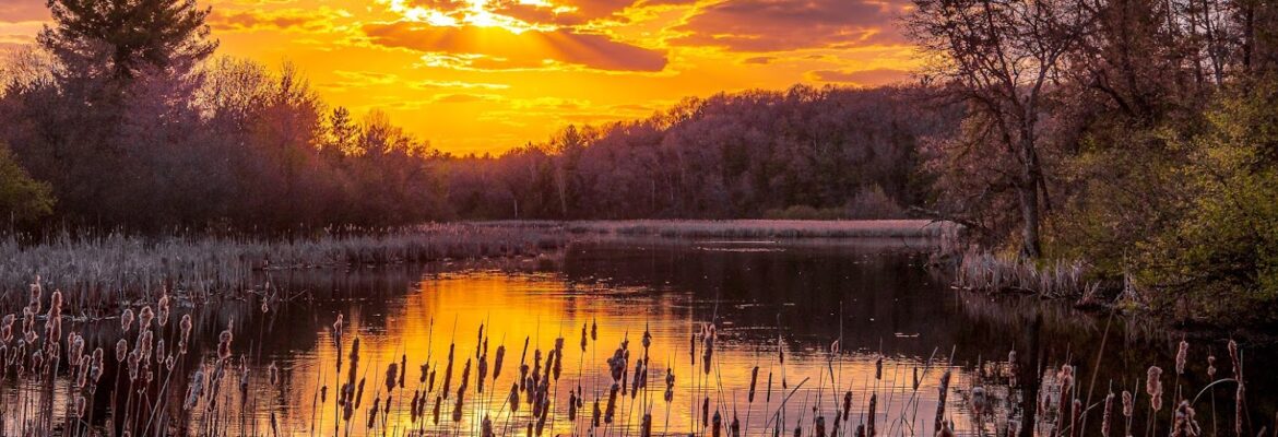 Jim Ivory Photography