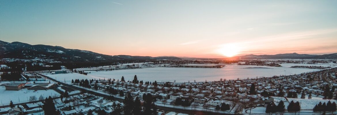 Shaena Sullivan Photography