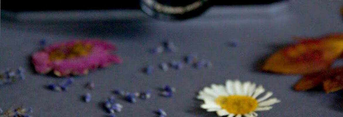 FloraMore Photography