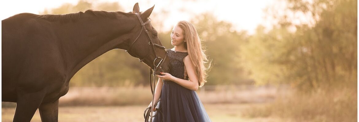 Karinda K Equine Photography