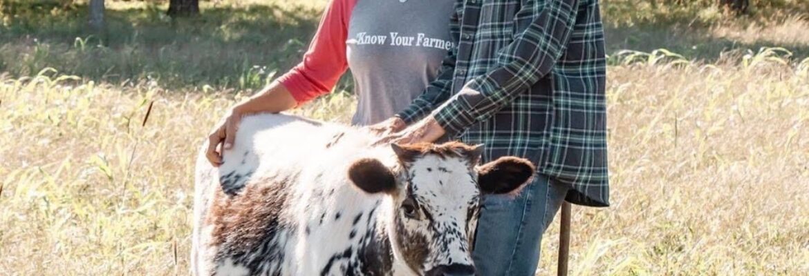 Stirling Photography