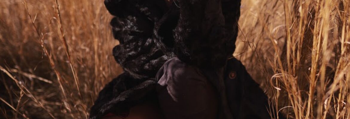 Anthony Ferrell Photography