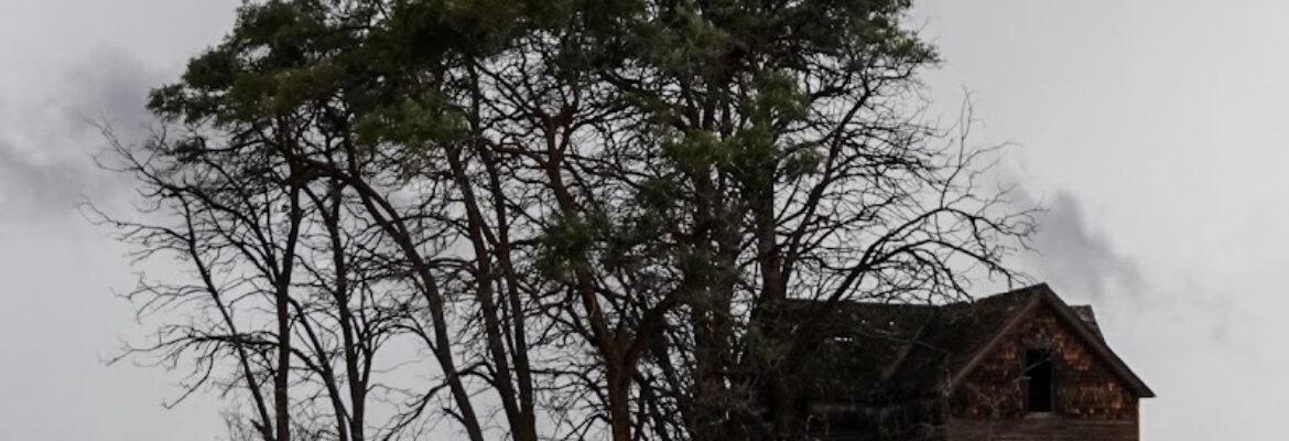 Dave Acheson Photography