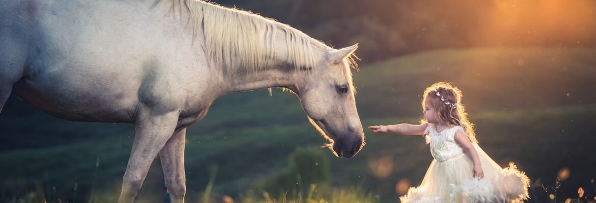 Jake Fountain Photography