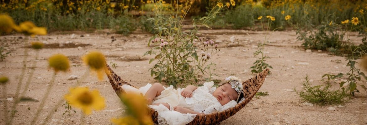 Capture & Frame Photography