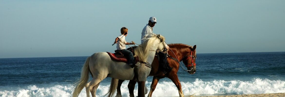 Memory Portraits by Robert Helm