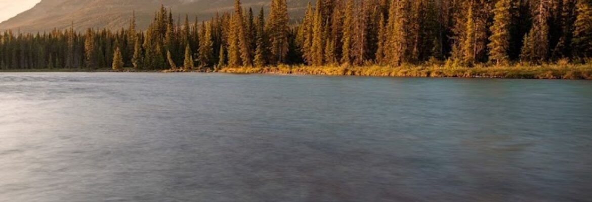 Matthew Breiter Photography