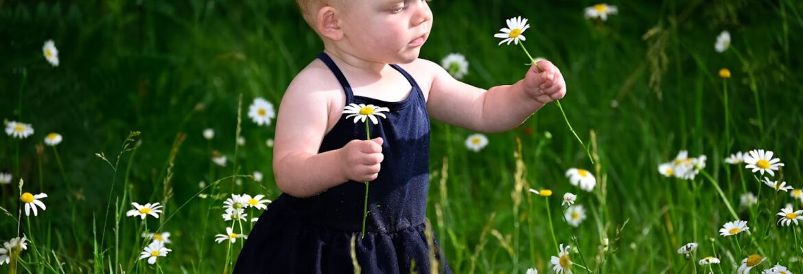 Little Kees Photography