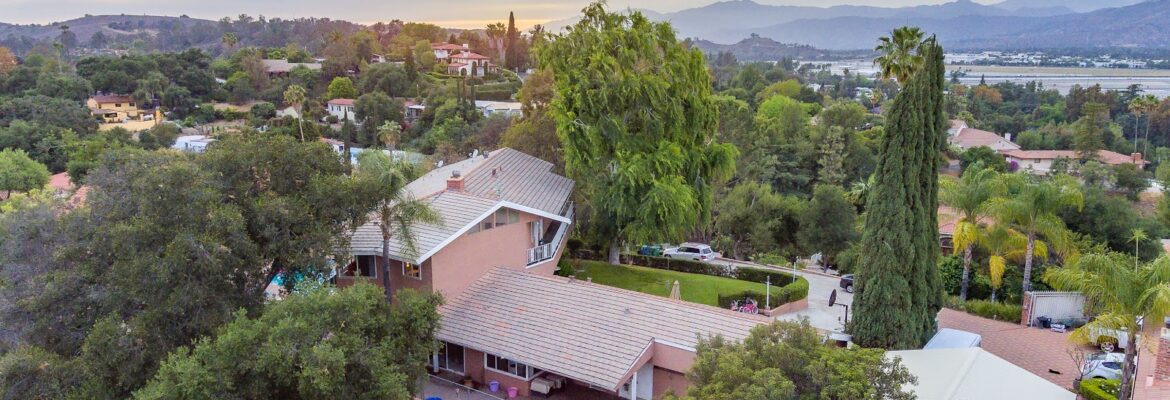 Daniel Rodriguez Media