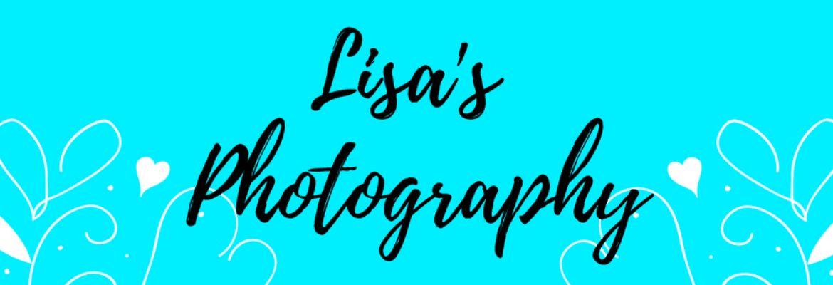 Lisa’s Photography