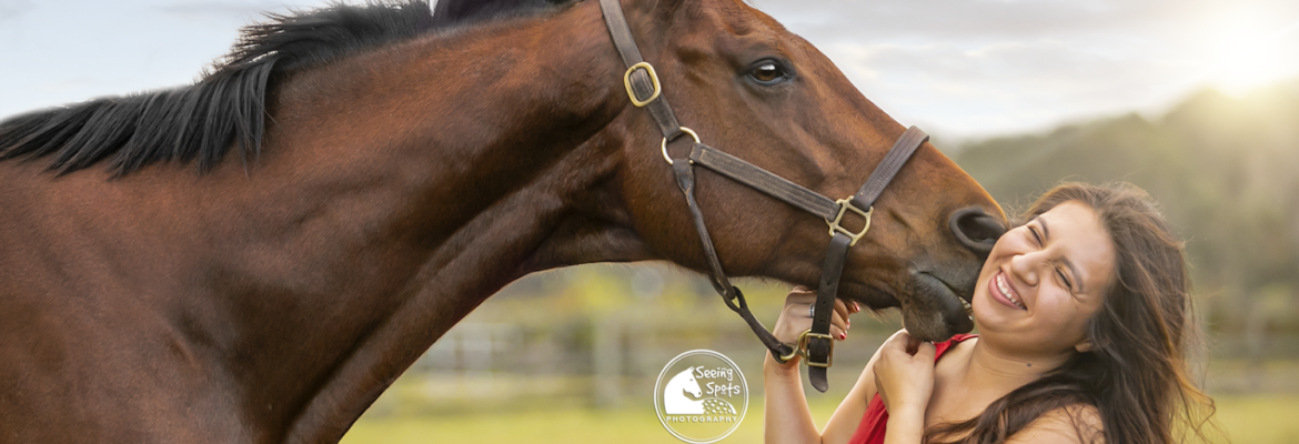 Seeing Spots Photography (Jacksonville Equine Photographer)