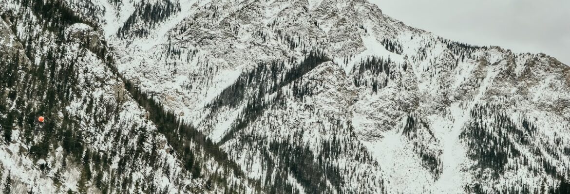 Nichole Dawson Photography