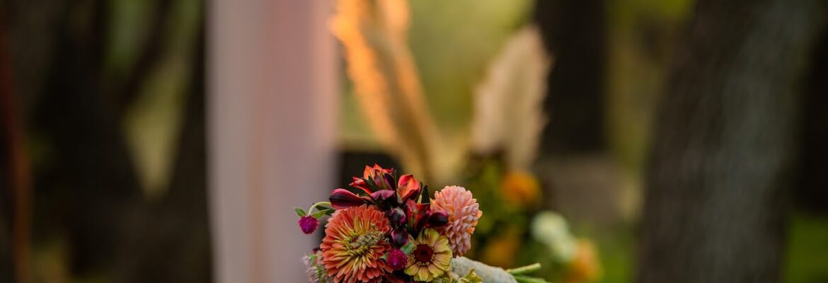 Kacee Anderson Photography