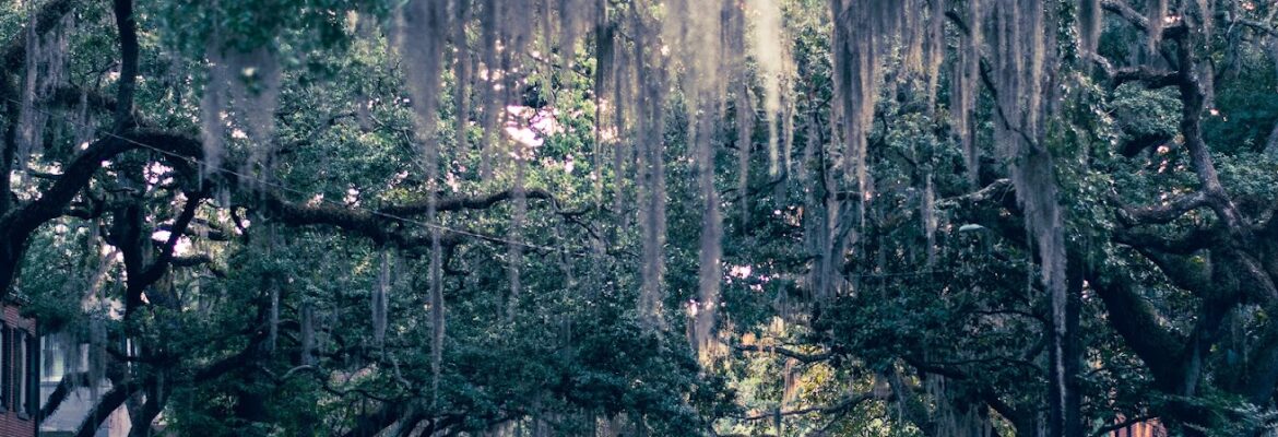 RAW photos by Shawn