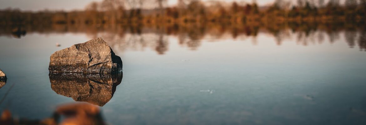 Katie Bartoszek Photography