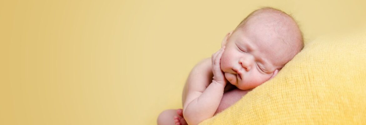 Erin Morris Photography