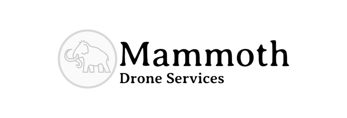 Mammoth Drone Services
