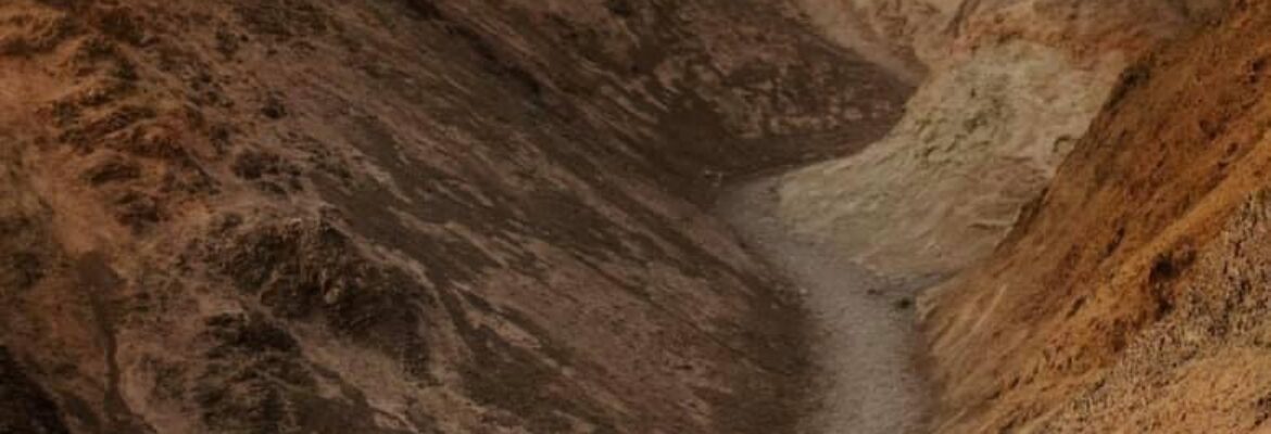 Palm Springs Wedding Photographer | Kellie Jane