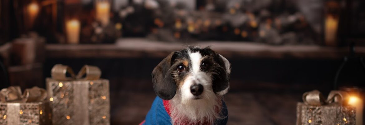 Jpix Photography