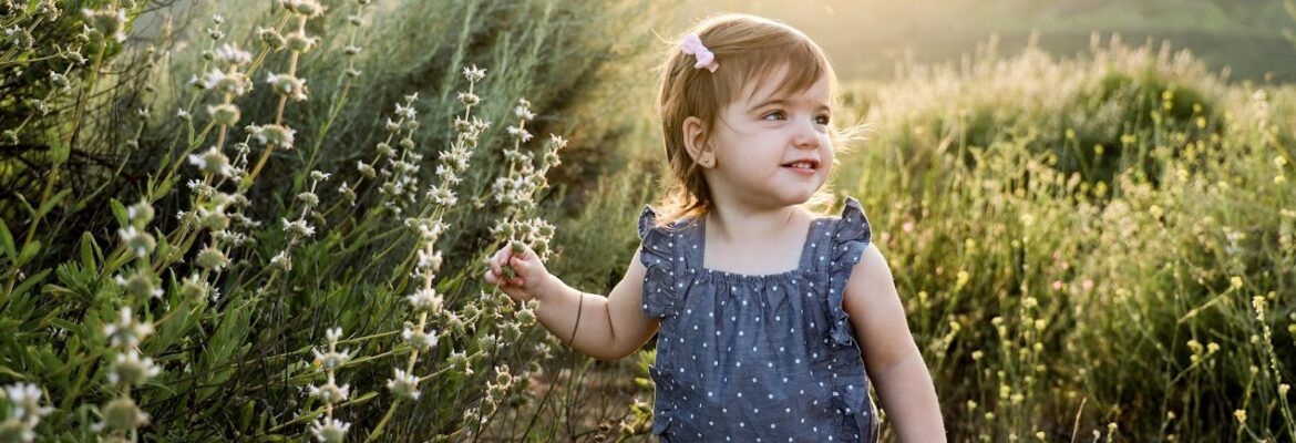 Stacey Bailey Photography