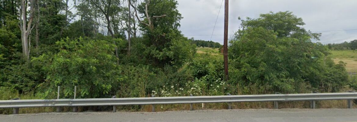 Shannon Beth Photography