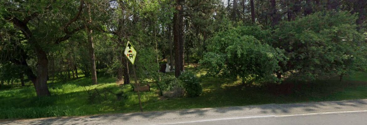 Fine Art Photography